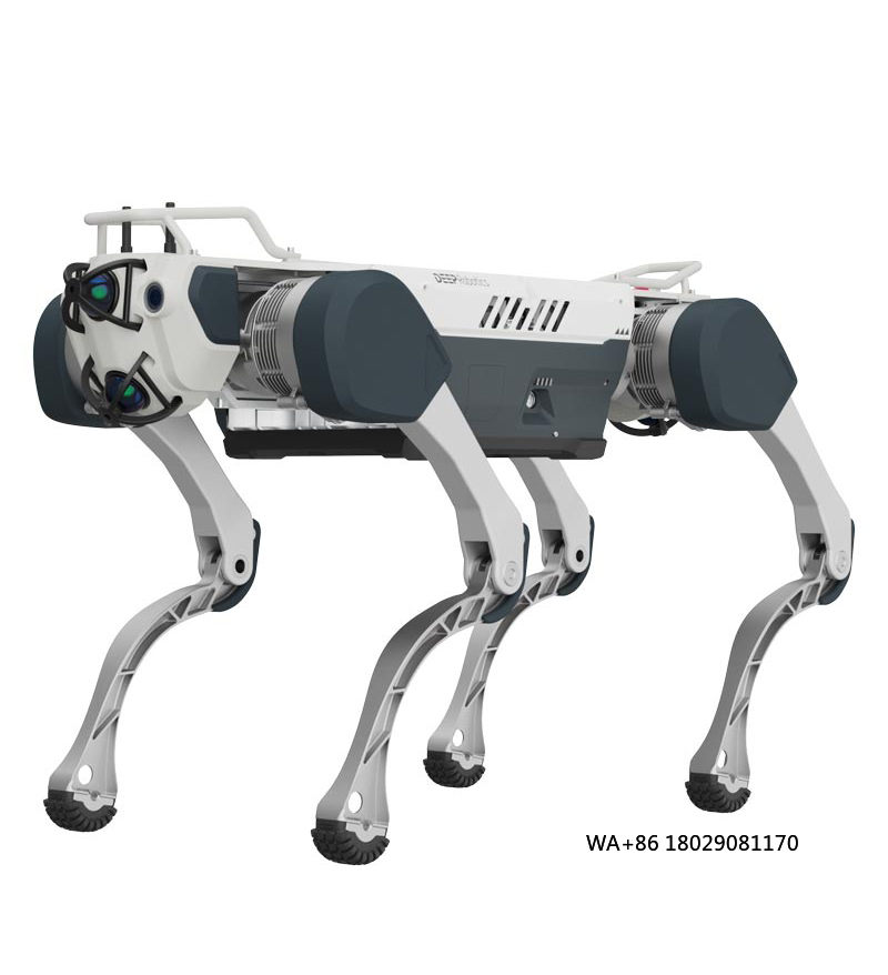 Achieving Artificial Intellige - Robot Remote Control recension och pris